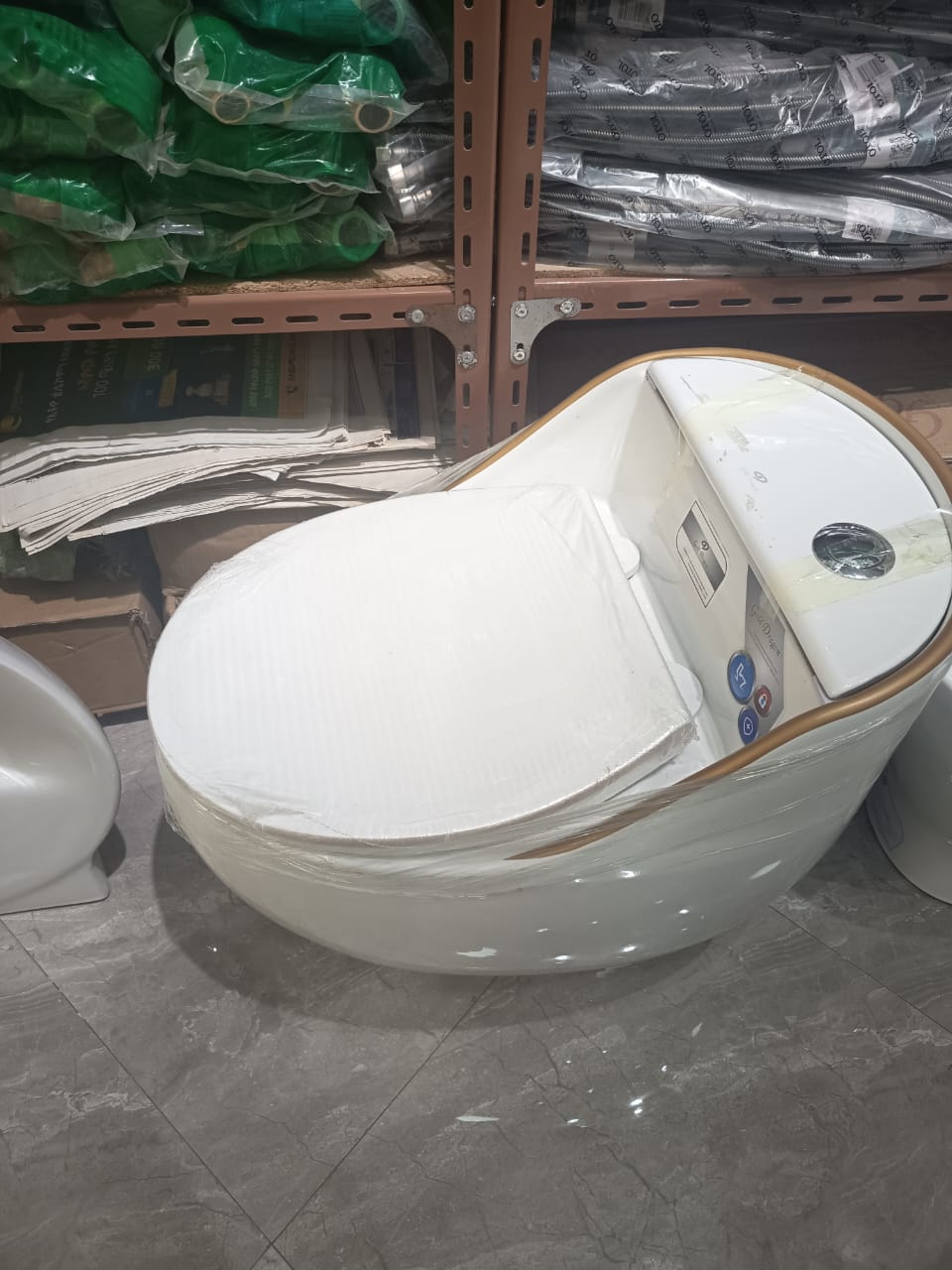 Gold Dragon luxury one-piece smart toilet suite